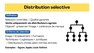 Qu’est-ce que la distribution sélective ?